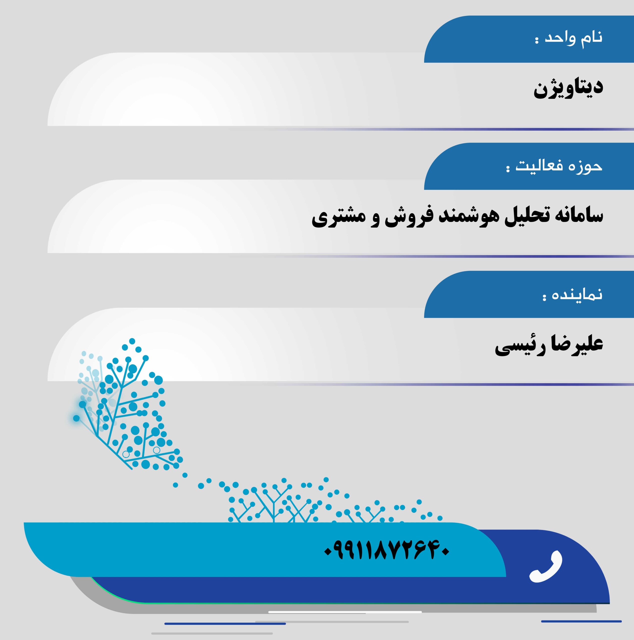 دیتاویژن