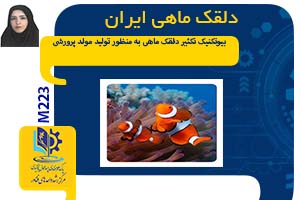 دلقک ماهی ایران