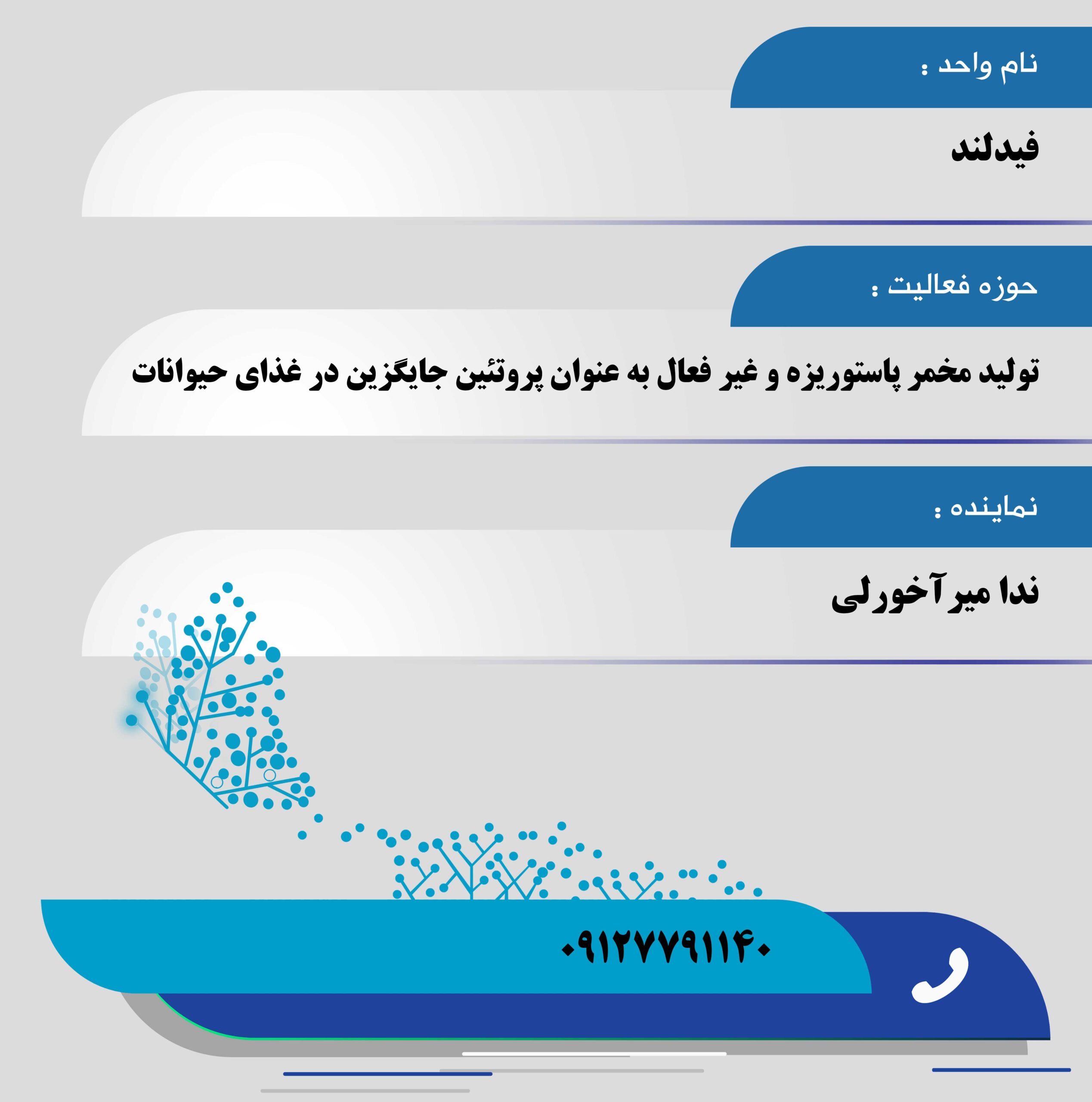 فیدلند